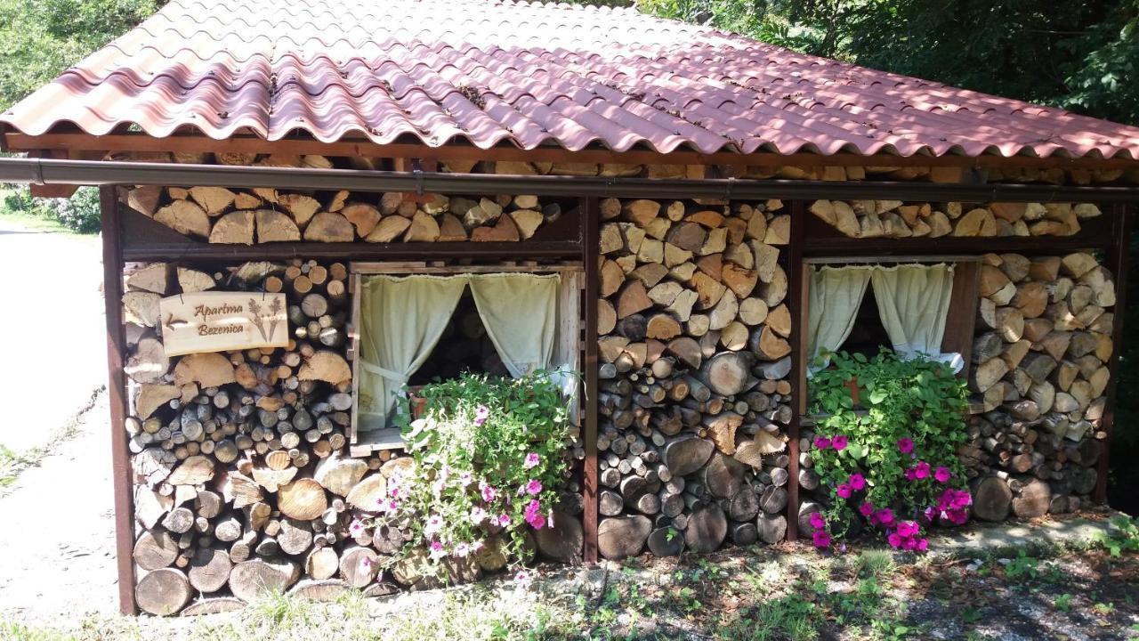 Appartment Bezenica Dobrova Zewnętrze zdjęcie